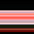 Rose1