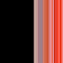 Rose2